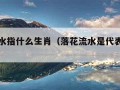 落花流水指什么生肖（落花流水是代表什么生肖）