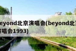 beyond北京演唱会(beyond北京演唱会1993)