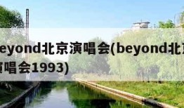 beyond北京演唱会(beyond北京演唱会1993)