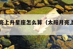 太阳月亮上升星座怎么算（太阳月亮上升星座怎么看）