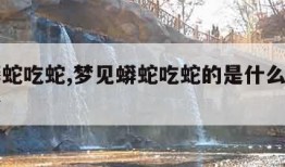 梦见蟒蛇吃蛇,梦见蟒蛇吃蛇的是什么征兆周公解梦