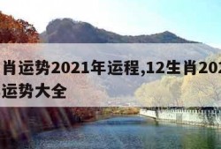 生肖运势2021年运程,12生肖2024年运势大全