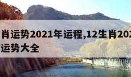 生肖运势2021年运程,12生肖2024年运势大全