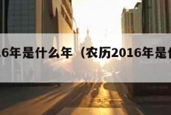 2016年是什么年（农历2016年是什么年）