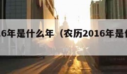 2016年是什么年（农历2016年是什么年）