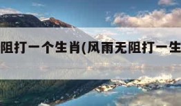 风雨无阻打一个生肖(风雨无阻打一生肖和数字)