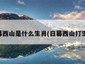 日暮西山是什么生肖(日暮西山打生肖)