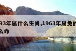 1893年属什么生肖,1963年属兔的是什么命