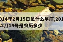 2014年2月15日是什么星座,2014年2月15号是农历多少