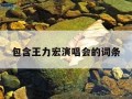 包含王力宏演唱会的词条