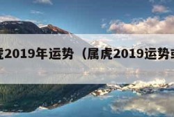 属虎2019年运势（属虎2019运势或运程）