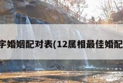 八字婚姻配对表(12属相最佳婚配表)