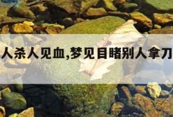 梦见别人杀人见血,梦见目睹别人拿刀砍人都是血