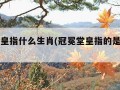 冠冕堂皇指什么生肖(冠冕堂皇指的是什么生肖)