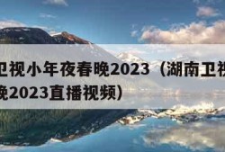 湖南卫视小年夜春晚2023（湖南卫视小年夜春晚2023直播视频）