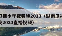 湖南卫视小年夜春晚2023（湖南卫视小年夜春晚2023直播视频）