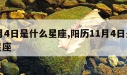 11月4日是什么星座,阳历11月4日是什么星座