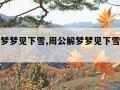 周公解梦梦见下雪,周公解梦梦见下雪是什么意思