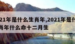 2021年是什么生肖年,2021年是什么生肖年什么命十二月生