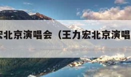 王力宏北京演唱会（王力宏北京演唱会2023）