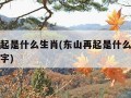 东山再起是什么生肖(东山再起是什么生肖或解一数字)