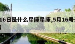 5月16日是什么星座星座,5月16号是啥星座