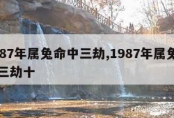 1987年属兔命中三劫,1987年属兔命中三劫十