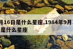 9月16日是什么星座,1984年9月16日是什么星座