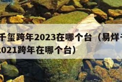 易烊千玺跨年2023在哪个台（易烊千玺20202021跨年在哪个台）