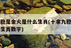 十拿九稳是金火是什么生肖(十拿九稳是金火是什么生肖数字)