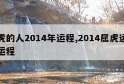 属虎的人2014年运程,2014属虎运势及运程