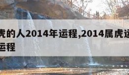 属虎的人2014年运程,2014属虎运势及运程