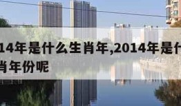 2014年是什么生肖年,2014年是什么生肖年份呢