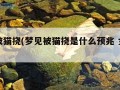 梦见被猫挠(梦见被猫挠是什么预兆 女性解梦)