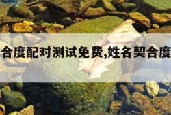 姓名契合度配对测试免费,姓名契合度测试下载