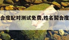 姓名契合度配对测试免费,姓名契合度测试下载