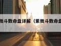 免费紫微斗数命盘详解（紫微斗数命盘详解图）