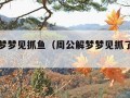 周公解梦梦见抓鱼（周公解梦梦见抓了好多鱼）