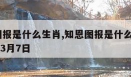 知恩图报是什么生肖,知恩图报是什么生肖2022年3月7日