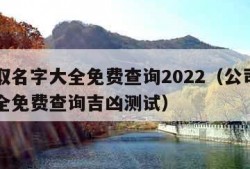 公司取名字大全免费查询2022（公司取名字大全免费查询吉凶测试）