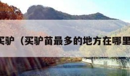 买驴（买驴苗最多的地方在哪里）