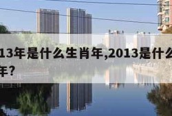 2013年是什么生肖年,2013是什么生肖年?