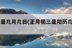 年三十是几月几日(正月初三是阳历几月几日)