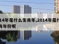 2014年是什么生肖年,2014年是什么生肖年份呢