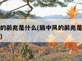 脑中风的前兆是什么(脑中风的前兆是什么现象图片)