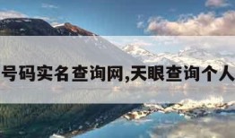 手机号码实名查询网,天眼查询个人信息