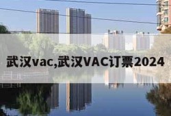 武汉vac,武汉VAC订票2024