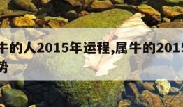 属牛的人2015年运程,属牛的2015年运势