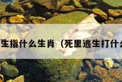 死里逃生指什么生肖（死里逃生打什么生肖）