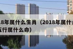 2018年属什么生肖（2018年属什么生肖五行属什么命）